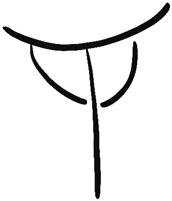 Image of the occurrence